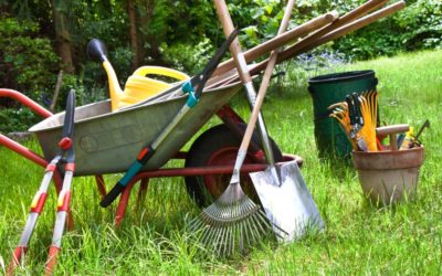 How to Clean & Store Garden Tools