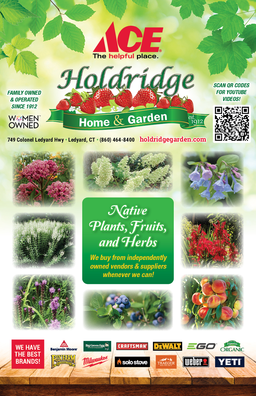 Holdridge SpringBookMlr Web